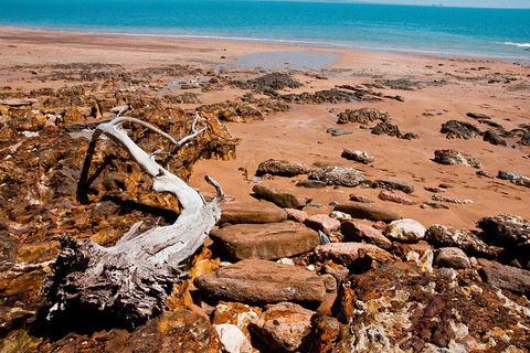 Darwin Shore Excursion: Hop-on Hop-off Bus Tour - Attractions Perth 9