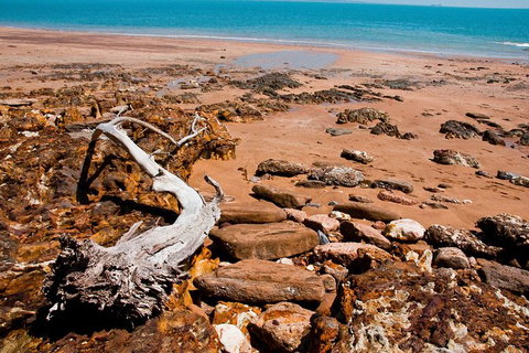 Darwin Hop-on Hop-off Bus Tour - Attractions Perth 5
