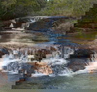 3 Day 4WD Dragonfly Dreaming Top End Safari - Attractions Perth