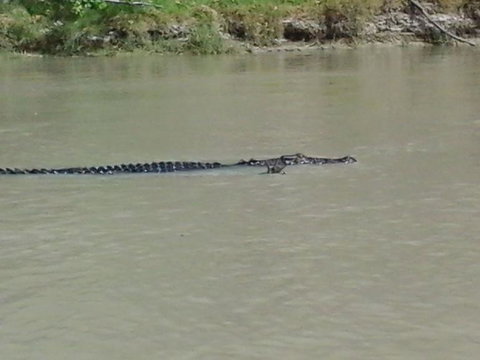 3-Day Kakadu National Park And Arnhem Land Explorer Tour From Darwin - Attractions Perth 7