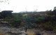 3-Day Kakadu National Park And Arnhem Land Explorer Tour From Darwin - thumb 14