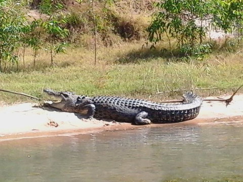 3-Day Kakadu National Park And Arnhem Land Explorer Tour From Darwin - Attractions Perth 6