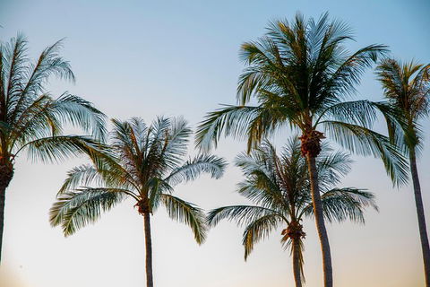 Darwin City Sightseeing Tour With Optional Sunset Cruise - Attractions Perth 7