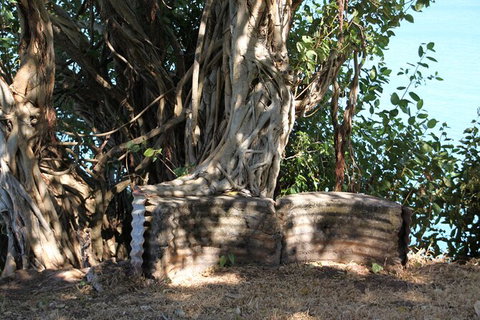 Darwin Walking Tour: World War II Reflections - Attractions Perth 6