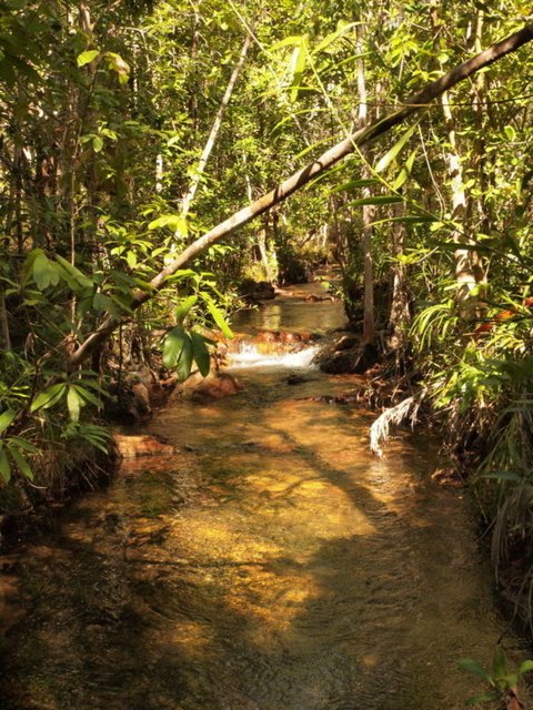 Katherine Day Tour From Darwin Including Katherine Gorge Cruise - Attractions Perth 10