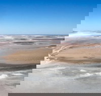 Scenic Flight Lizard Safari - Attractions Perth