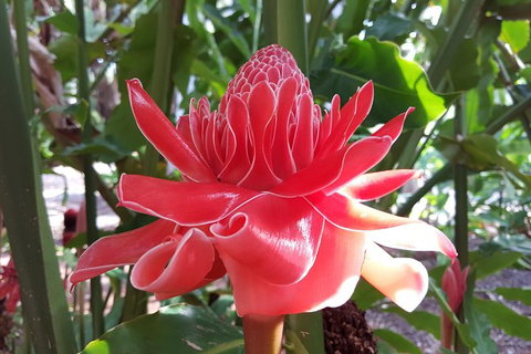 Walk The Darwin Botanic Gardens - Attractions Perth 5