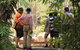 Walk The Darwin Botanic Gardens - thumb 4