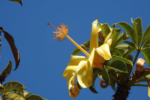 Walk The Darwin Botanic Gardens - Attractions Perth 6