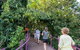 Walk The Darwin Botanic Gardens - thumb 3