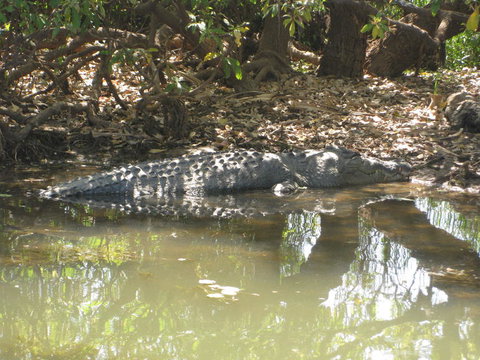 2-Day Kakadu And Arnhem Land Tour From Darwin - Attractions Perth 2