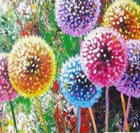 Dandelions - Six Tanks 3.00-5.00pm - Attractions Perth