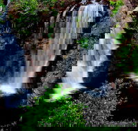 Litchfield Dreams 1 Day National Park Waterfall Swimming  Jumping Croc Cruise - Attractions Perth