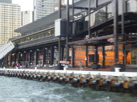 Sydney Harbour Hop-on Hop-off Cruise - Attractions Perth 10