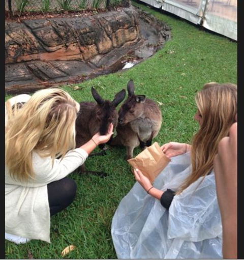 Port Stephens Day Tour With Dolphin Watching, Sandboarding & Australian Wildlife - Attractions Perth 15