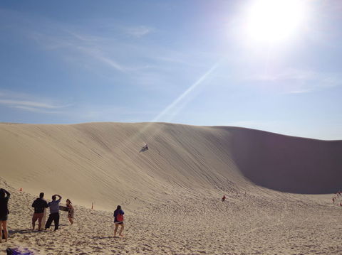 Port Stephens Day Tour With Dolphin Watching, Sandboarding & Australian Wildlife - Attractions Perth 21