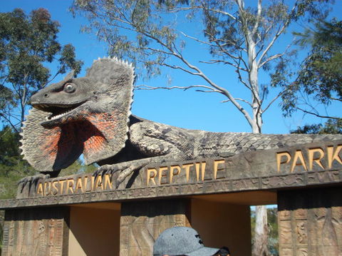 Port Stephens Day Tour With Dolphin Watching, Sandboarding & Australian Wildlife - Attractions Perth 7