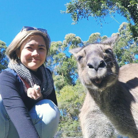 Port Stephens Day Tour With Dolphin Watching, Sandboarding & Australian Wildlife - Attractions Perth 12