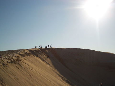 Port Stephens Day Tour With Dolphin Watching, Sandboarding & Australian Wildlife - Attractions Perth 14