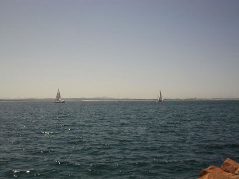 Port Stephens Day Tour With Dolphin Watching, Sandboarding & Australian Wildlife - Attractions Perth 3