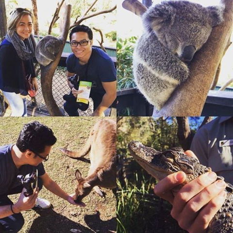 Port Stephens Day Tour With Dolphin Watching, Sandboarding & Australian Wildlife - Attractions Perth 11