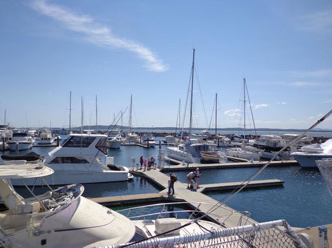 Port Stephens Day Tour With Dolphin Watching, Sandboarding & Australian Wildlife - Attractions Perth 24