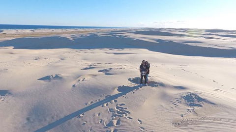Port Stephens Day Tour With Dolphin Watching, Sandboarding & Australian Wildlife - Attractions Perth 10