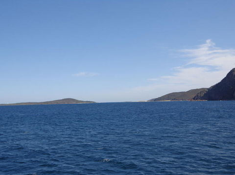 Port Stephens Day Tour With Dolphin Watching, Sandboarding & Australian Wildlife - Attractions Perth 23