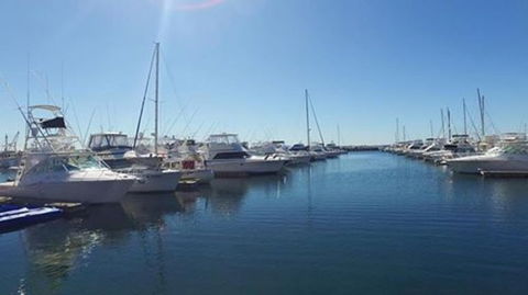 Port Stephens Day Tour With Dolphin Watching, Sandboarding & Australian Wildlife - Attractions Perth 9