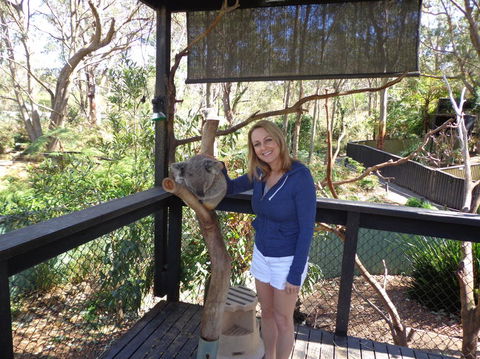 Port Stephens Day Tour With Dolphin Watching, Sandboarding & Australian Wildlife - Attractions Perth 25