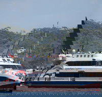 Sydney Boxing Day Cruise 2019 - Attractions Perth