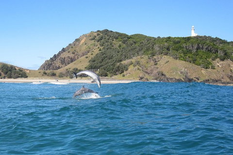 Kayaking With Dolphins In Byron Bay Guided Tour - Attractions Perth 1
