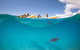 Kayaking With Dolphins In Byron Bay Guided Tour - thumb 14