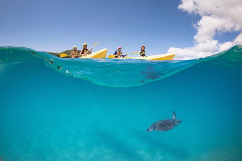 Kayaking With Dolphins In Byron Bay Guided Tour - Attractions Perth 14