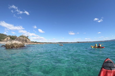 Kayaking With Dolphins In Byron Bay Guided Tour - Attractions Perth 15