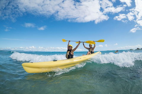 Kayaking With Dolphins In Byron Bay Guided Tour - Attractions Perth 16