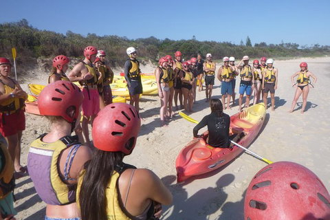 Kayaking With Dolphins In Byron Bay Guided Tour - Attractions Perth 4