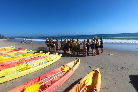 Kayaking With Dolphins In Byron Bay Guided Tour - Attractions Perth 17
