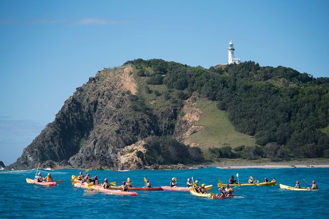 Kayaking With Dolphins In Byron Bay Guided Tour - Attractions Perth 2