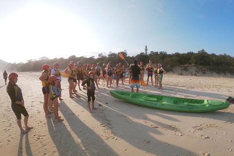 Kayaking With Dolphins In Byron Bay Guided Tour - Attractions Perth 11