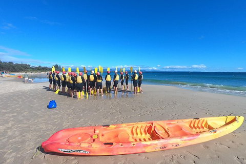 Kayaking With Dolphins In Byron Bay Guided Tour - Attractions Perth 3