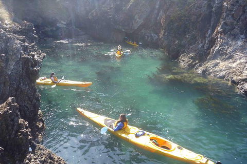 Batemans Bay Full Day Sea Kayak Tour With Beach Picnic Lunch - Attractions Perth 1