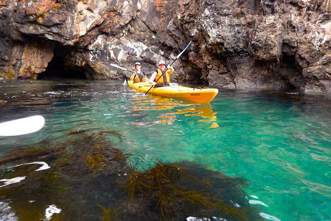 Batemans Bay Full Day Sea Kayak Tour With Beach Picnic Lunch - Attractions Perth 2
