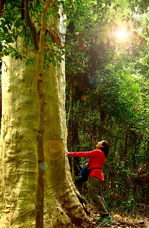 3 Day Murramarang Coast Journey From Batemans Bay With Meals And Villa Accom - Attractions Perth 4