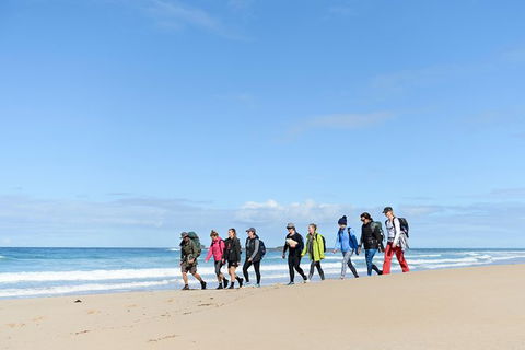 3 Day Murramarang Coast Journey From Batemans Bay With Meals And Villa Accom - Attractions Perth 7