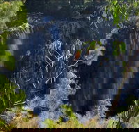 Byron Bay Hinterland Tour Including Rainforest Walk to Minyon Falls - Attractions Perth