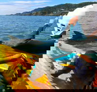 Byron Bay Combo Hinterland Tour Including Minyon Falls and Kayaking with Dolphins - Attractions Perth