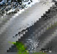 Minyon Falls Rainforest Walk - Attractions Perth