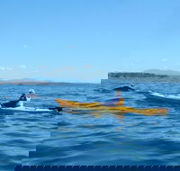 Whale Watching by Sea Kayak in Batemans Bay - Attractions Perth