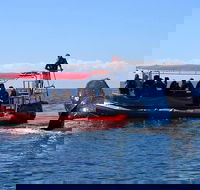 Byron Bay Whale Watching Cruise - Attractions Perth